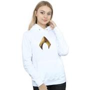 Sweat-shirt Dc Comics BI3165