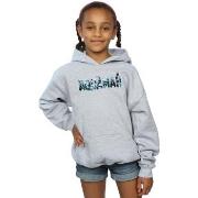 Sweat-shirt enfant Dc Comics BI3171