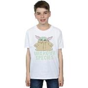 T-shirt enfant Disney The Mandalorian Unknown Species