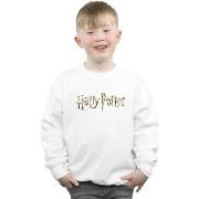 Sweat-shirt enfant Harry Potter BI19806