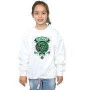 Sweat-shirt enfant Harry Potter Slytherin Toon Crest