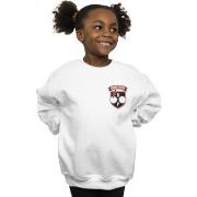 Sweat-shirt enfant Harry Potter BI20685