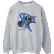 Sweat-shirt Harry Potter BI21619