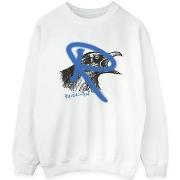 Sweat-shirt Harry Potter Ravenclaw