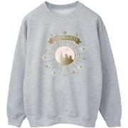 Sweat-shirt Harry Potter BI21426