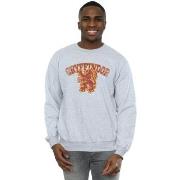 Sweat-shirt Harry Potter Gryffindor