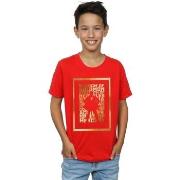 T-shirt enfant Dc Comics BI33626