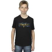 T-shirt enfant Dc Comics Shazam Fury Of The Gods Golden Logo