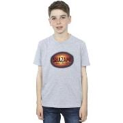 T-shirt enfant Dc Comics Fury Of The Gods