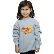 Sweat-shirt enfant Dessins Animés BI23798