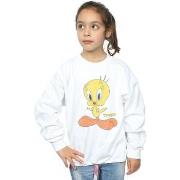 Sweat-shirt enfant Dessins Animés BI23914