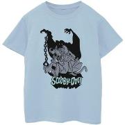 T-shirt enfant Scooby Doo Scared Jump