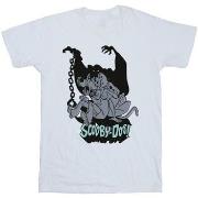 T-shirt enfant Scooby Doo Scared Jump