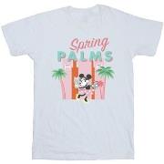 T-shirt enfant Disney Spring Palms