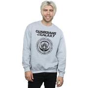 Sweat-shirt Marvel Guardians Of The Galaxy Vol. 2