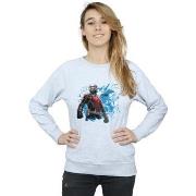 Sweat-shirt Marvel Ant-Man Standing