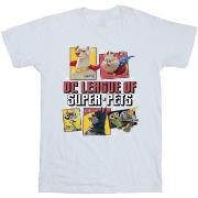 T-shirt enfant Dc Comics BI16982