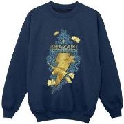 Sweat-shirt enfant Dc Comics Shazam Fury Of The Gods Golden Animal Bol...