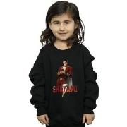 Sweat-shirt enfant Dc Comics BI33930