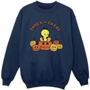 Sweat-shirt enfant Dessins Animés BI24285