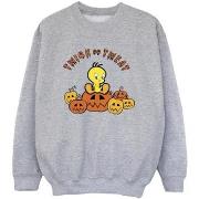 Sweat-shirt enfant Dessins Animés Twick Or Tweat