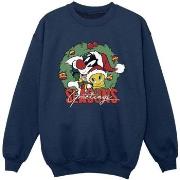 Sweat-shirt enfant Dessins Animés BI24316