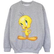 Sweat-shirt enfant Dessins Animés BI24400