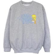 Sweat-shirt enfant Dessins Animés ACME