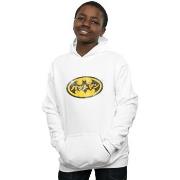 Sweat-shirt enfant Dc Comics BI3499