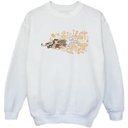 Sweat-shirt enfant Dessins Animés ACME