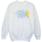 Sweat-shirt enfant Dessins Animés ACME