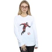 Sweat-shirt Marvel Avengers Endgame Painted Ant-Man