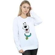 Sweat-shirt Scooby Doo Big Face