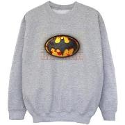 Sweat-shirt enfant Dc Comics BI38379