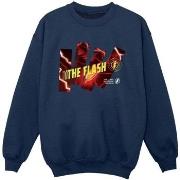 Sweat-shirt enfant Dc Comics BI38380