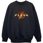 Sweat-shirt enfant Dc Comics BI38442