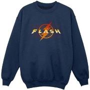 Sweat-shirt enfant Dc Comics BI38442