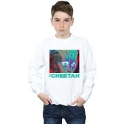 Sweat-shirt enfant Dc Comics 84