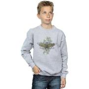 Sweat-shirt enfant Dc Comics BI40505