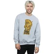 Sweat-shirt Scooby Doo BI44054