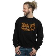 Sweat-shirt Scooby Doo Where Are You