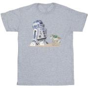 T-shirt enfant Disney The Mandalorian R2D2 And Grogu