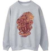 Sweat-shirt Harry Potter Gryffindor