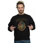 Sweat-shirt Harry Potter Varsity Style Crest