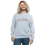 Sweat-shirt Harry Potter BI48745