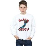 Sweat-shirt enfant Marvel BI29629