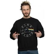 Sweat-shirt Pink Floyd BI49274