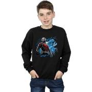 Sweat-shirt enfant Marvel Ant-Man Standing