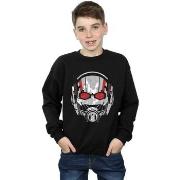 Sweat-shirt enfant Marvel BI5857