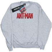 Sweat-shirt enfant Marvel BI6159